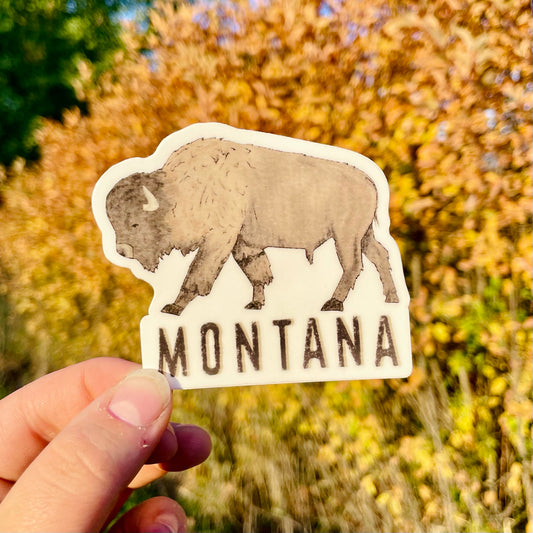 Montana Bison