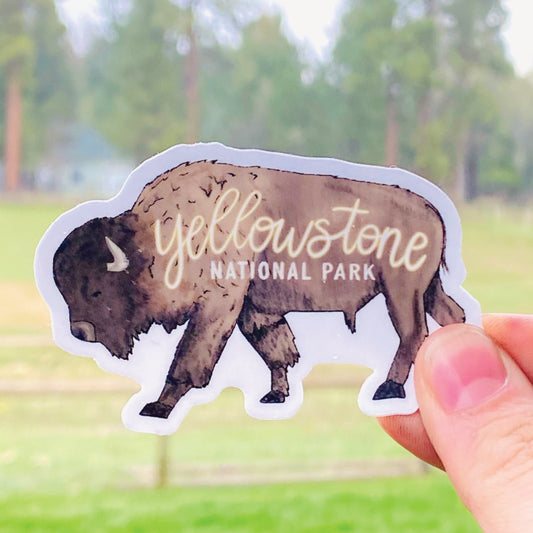 Yellowstone Bison